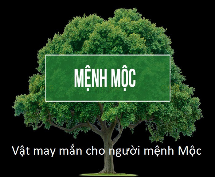Vật may mắn cho người mệnh Mộc