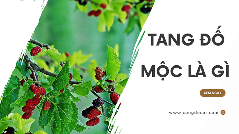 Tang do moc la gi phan tich uu diem va nhuoc diem cua menh tang do moc