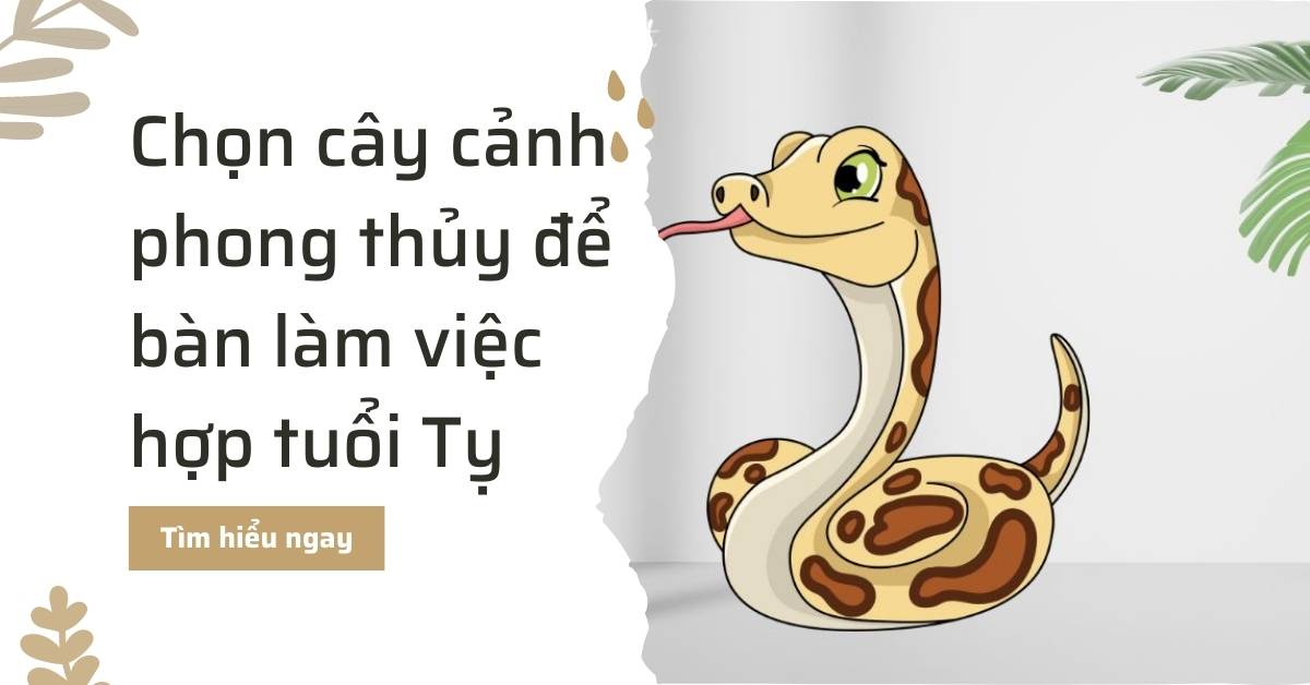 Cây cảnh phong thủy để bàn làm việc hợp tuổi Tỵ