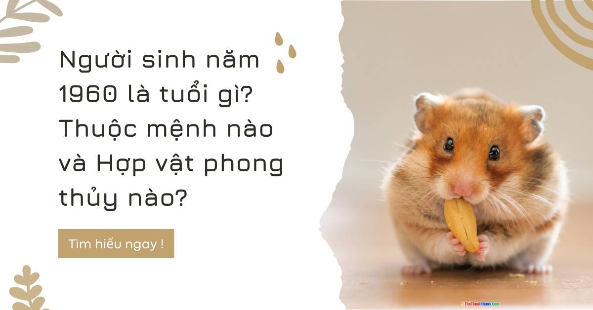 Người sinh năm 1960 thuộc mệnh gì? Cung nào