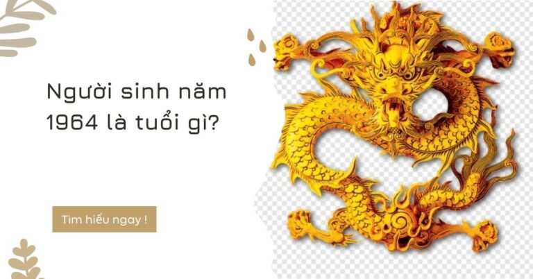 Sinh năm 1964 mệnh gì hợp màu gì Tư vấn vật phẩm phong thủy hợp tuổi Rồng