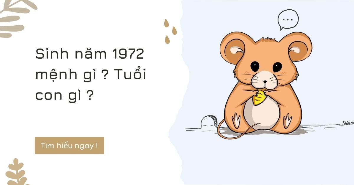 Sinh năm 1972 tuổi con gì ? Hợp màu gì ? Thuộc mệnh nào