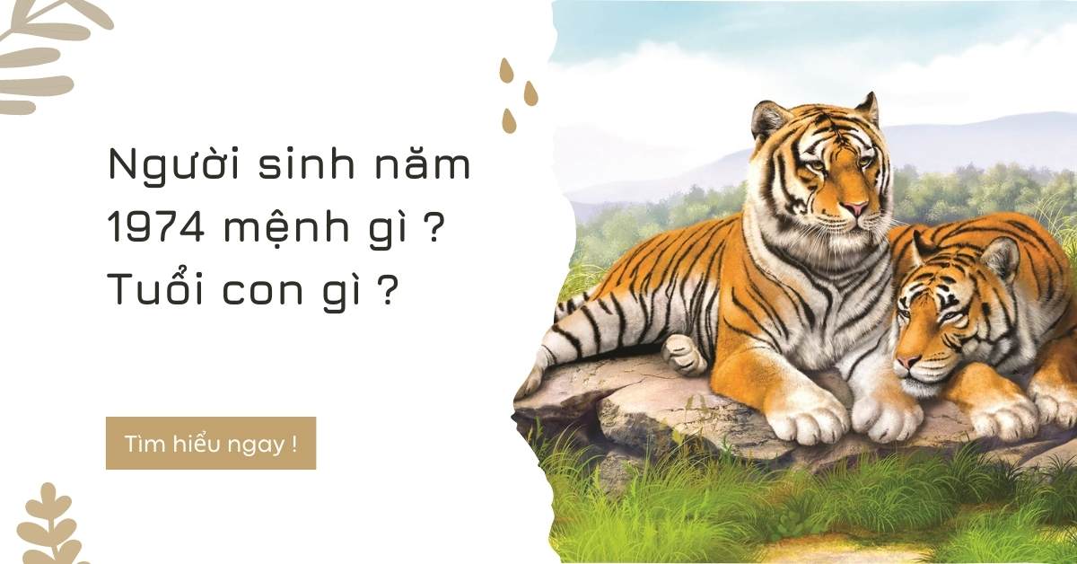 Sinh năm 1974 là tuổi gì? Thuộc mệnh nào và hợp vật phong thủy gì?