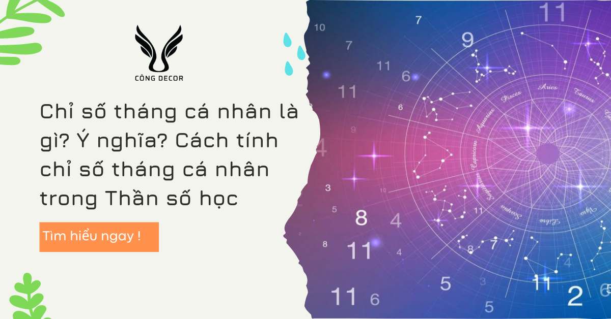 Chỉ số tháng cá nhân là gì? Ý nghĩa? Cách tính chỉ số tháng cá nhân trong Thần số học