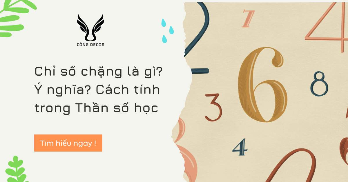 Chỉ số chặng và ý nghĩa sâu sắc trong thần số học